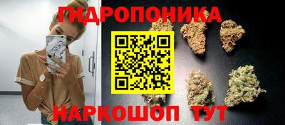 МДПВ Краснознаменск