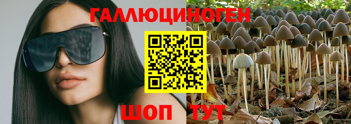 купить закладку  Вход с VPN  Калуга  Галлюциногенные грибы ЛСД  Галлюциногенные грибы Magic Shrooms 