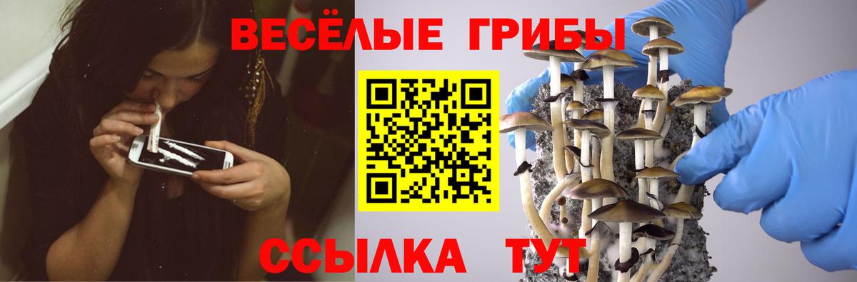 Псилоцибиновые грибы MAGIC MUSHROOMS Калуга